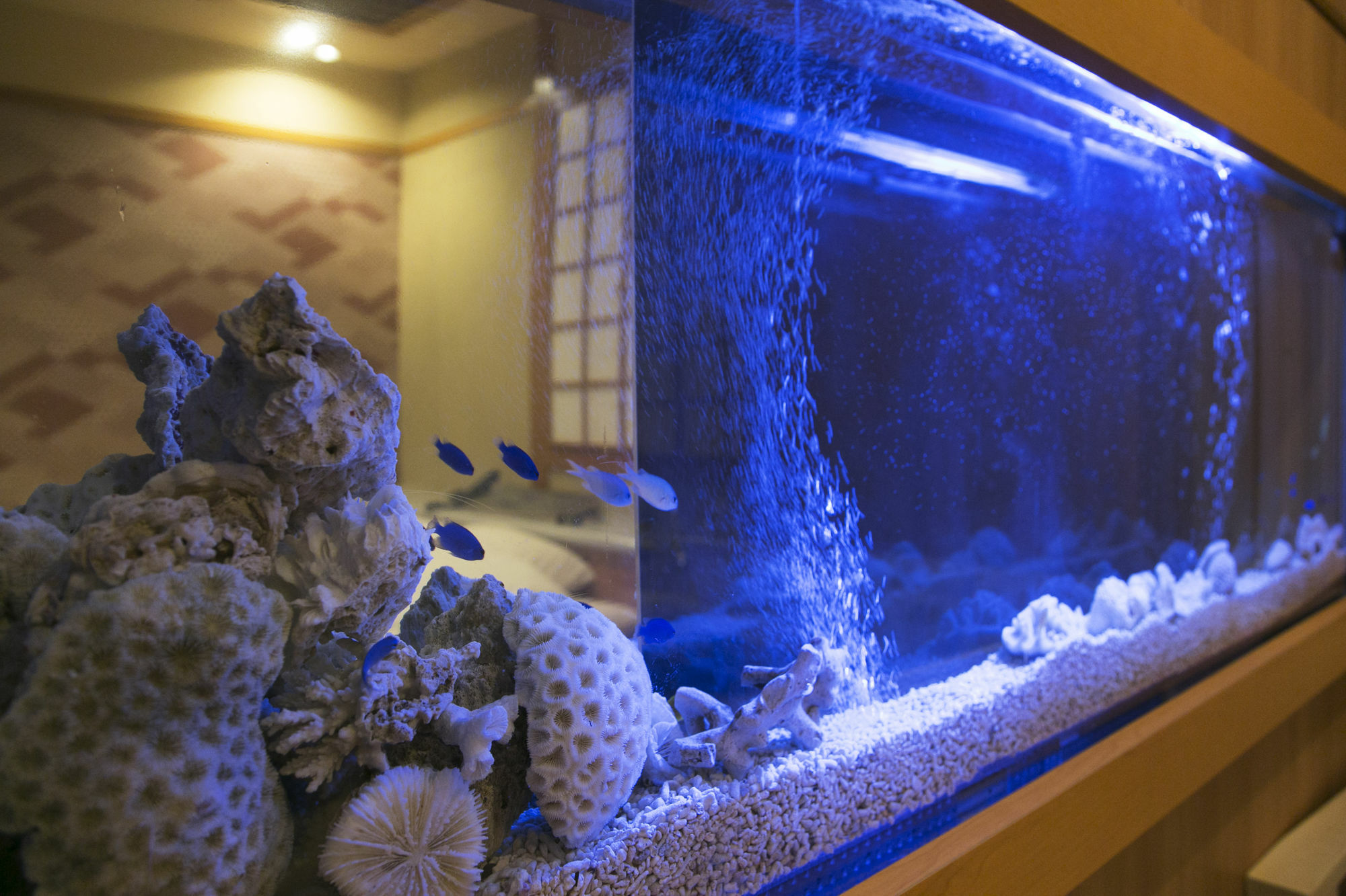 Hotel Atlantis Higashi Osaka (Adults Only) Exterior photo